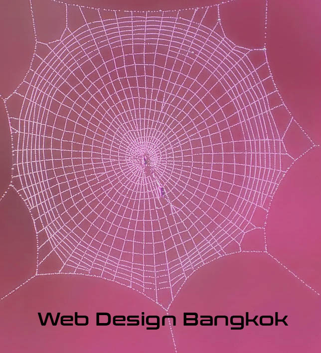 web design Bangkok structure strength expertise creative striking thailand