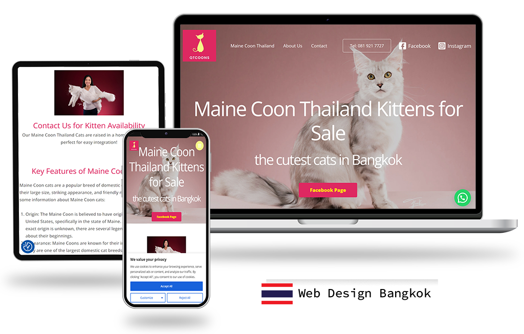 Web design single page and contact maine coon Thailand kittens